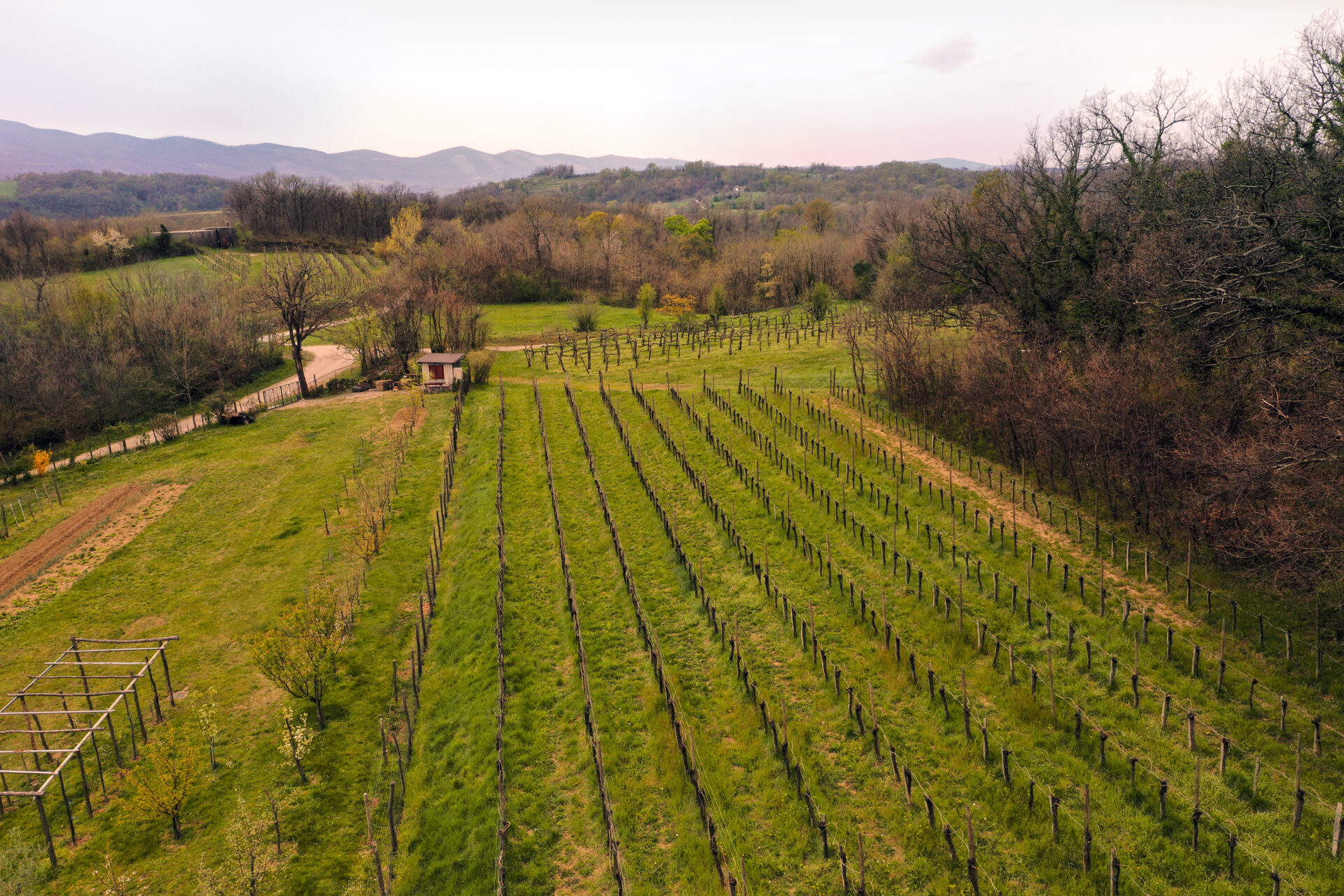 Pod Visoko – Vinarstvo Batič